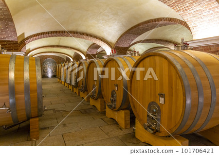 Wine cellar in Piedmont, Italy 101706421
