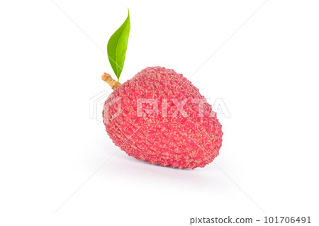 Fresh ripe lychee tropical fruit isolated on white background 101706491