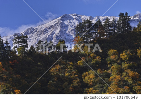 Autumn warmth 101706649