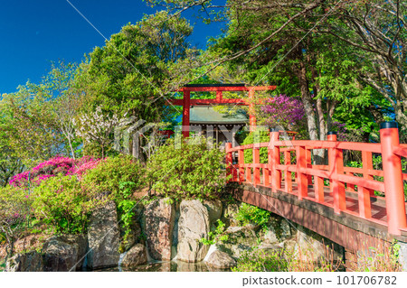 (Shizuoka Prefecture) Mt. Katsuragi Katsuragi Shrine where azaleas bloom (Shizuoka Prefecture) Mt. Katsuragi Katsuragi Shrine where azaleas bloom 101706782