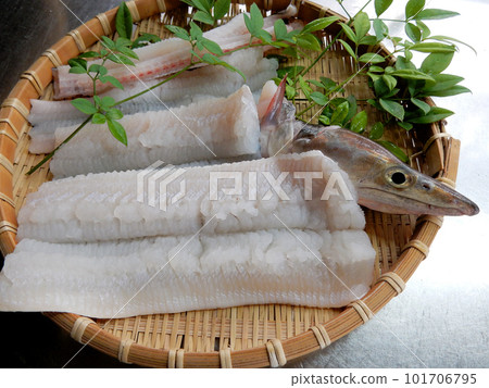 去骨海鰻 去骨海鰻 101706795