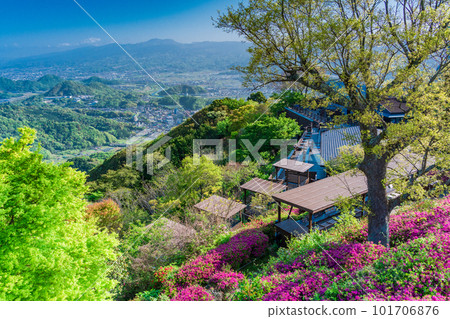 （靜岡縣）杜鵑花盛開的葛城山伊豆全景公園 101706876