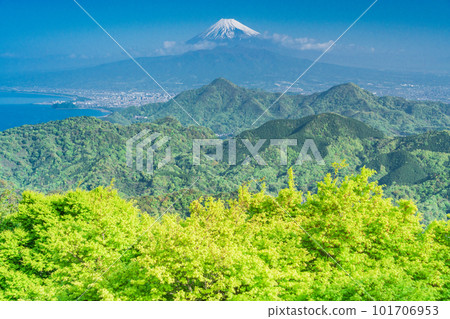 (Shizuoka Prefecture) Mt. Fuji seen from Mt. Katsuragi with beautiful fresh greenery 101706953