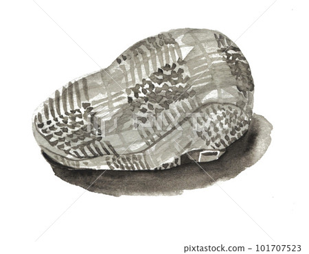 Hunting cap painted in watercolor23419pix7 101707523