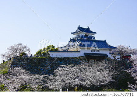 濱松城擁有美麗的櫻花金黃色,是日本春天的典型代表 濱松城擁有美麗的櫻花金黃色,是日本春天的典型代表 101707711