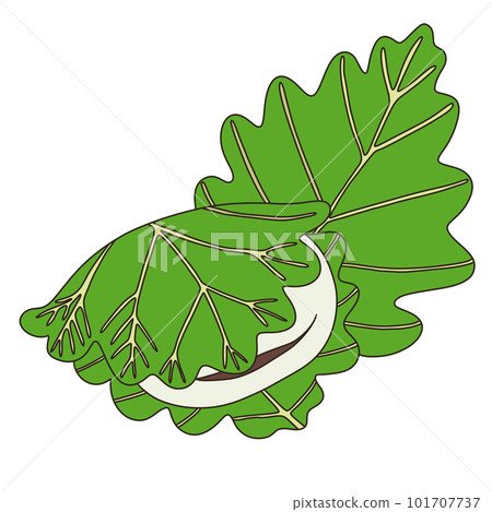 Kashiwamochi 101707737