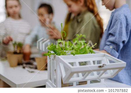 Happy children learning how to take care about plants. Happy children learning how to take care about plants. 101707882