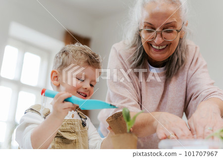 Grandmother with her grandson planting vegetables and flowers. Grandmother with her grandson planting vegetables and flowers. 101707967