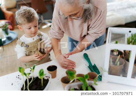 Grandmother with her grandson planting vegetables and flowers. Grandmother with her grandson planting vegetables and flowers. 101707971