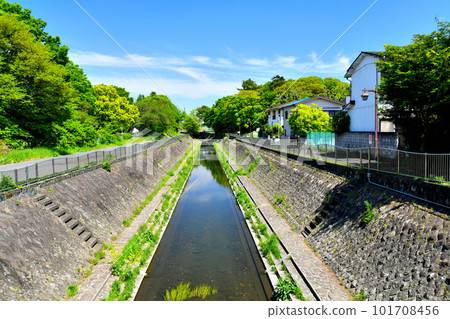 Omiya Bridge / Looking downstream from Zenpukuji River (Suginami Ward, Tokyo) [April 2023] 101708456