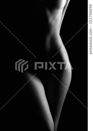 Female Nude silhouette. Naked Woman 101708856