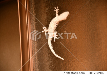 爬在窗玻璃上的白色壁虎 101708902