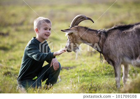 Young blond cute handsome smiling child boy playing with horned bearded goat outdoors on bright sunny summer or spring day on blurred light green grassy background. Young blond cute handsome smiling child boy playing with horned bearded goat outdoors on bright sunny summer or spring day on blurred light green grassy background. 101709108