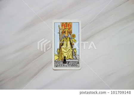 塔羅牌魔杖女王 塔羅牌魔杖女王 101709148
