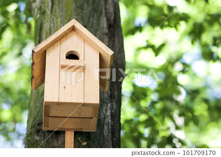 Wooden yellow bird house or nesting box on a tree in summer park or forest. Wooden yellow bird house or nesting box on a tree in summer park or forest. 101709170
