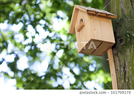 Wooden yellow bird house or nesting box on a tree in summer park or forest. 101709178