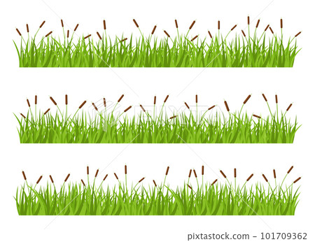 Grass with cattail vector design illustration isolated on white background 101709362