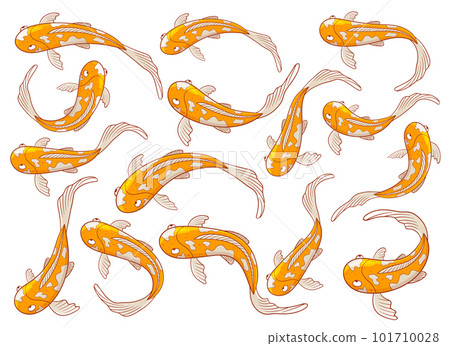 Fish vector design illustration isolated on white background 101710028