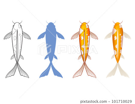 Fish vector design illustration isolated on white background 101710029