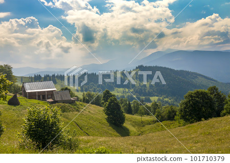 Village houses on hills with green meadows in summer day 101710379