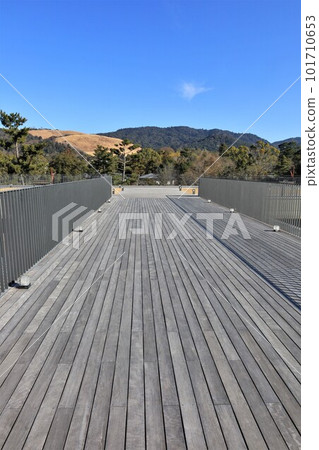 從奈良公園巴士總站(奈良縣奈良市)的屋頂觀景台看到的若草山 從奈良公園巴士總站(奈良縣奈良市)的屋頂觀景台看到的若草山 101710653