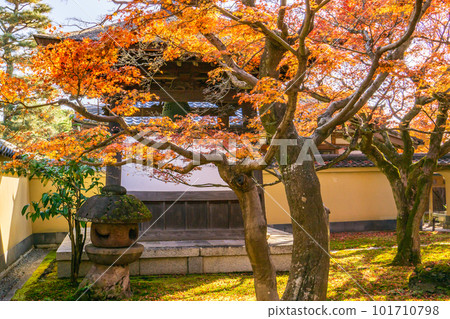 Autumn foliage at Daitokuji Kobai-in in Kitayama, Kyoto Bell tower Tomomiji Autumn foliage at Daitokuji Kobai-in in Kitayama, Kyoto Bell tower Tomomiji 101710798