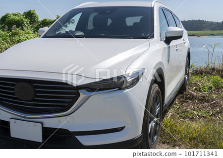 藍色河床和白色SUV汽車 101711341