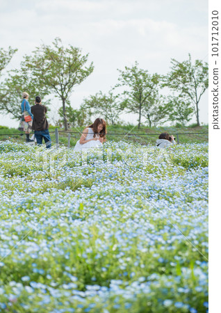 A woman taking a walk in a nemophila field A woman taking a walk in a nemophila field 101712010