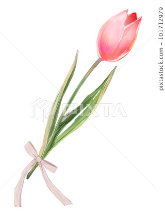 Single tulip ribbon red 101712979