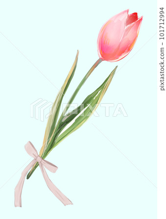 Single tulip ribbon red 101712994