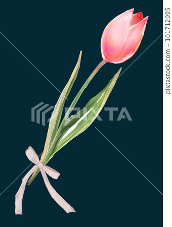 Single tulip ribbon red 101712995