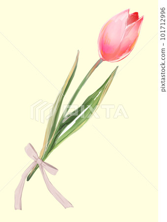 Single tulip ribbon red Single tulip ribbon red 101712996