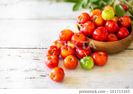 新鮮的金虎尾 101713165