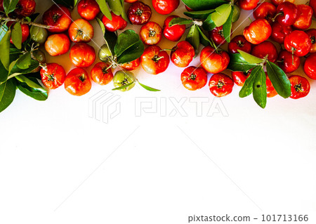 白色背景上的針葉櫻桃 101713166