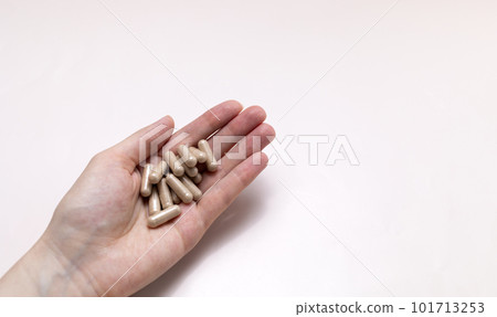 A Handful Of Pills, Capsules OF Slippery Elm On Human Hand, Top view. Dietary Nutritional Supplement, Medication. Ulmus Fulva, Herbal Remedy Concept. Horizontal Plane, Copy Space For Text 101713253