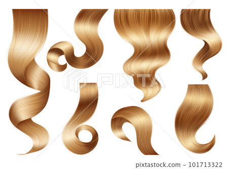 Realistic Hair Curls Set 101713322