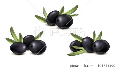 Black Olive Realistic Set Black Olive Realistic Set 101713390