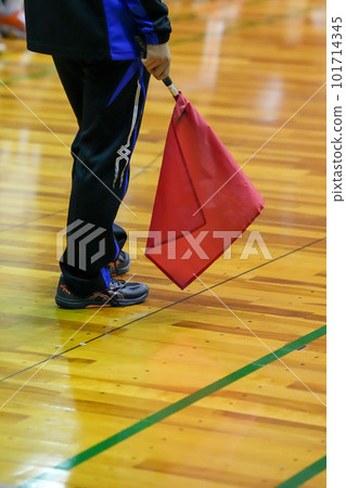 volleyball line judge 101714345