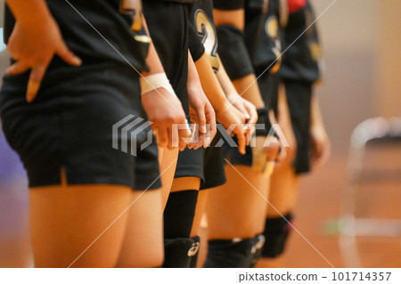 Volleyball match line-up greeting Volleyball match line-up greeting 101714357