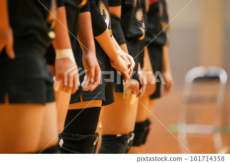 Volleyball match line-up greeting Volleyball match line-up greeting 101714358