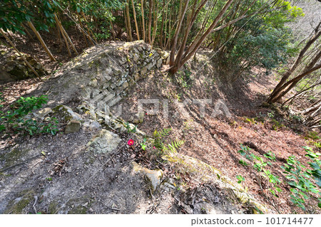備前“三石城”來輪、石垣、堀切和景色 備前“三石城”來輪、石垣、堀切和景色 101714477