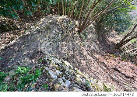 備前“三石城”來輪、石垣、堀切和景色 備前“三石城”來輪、石垣、堀切和景色 101714478