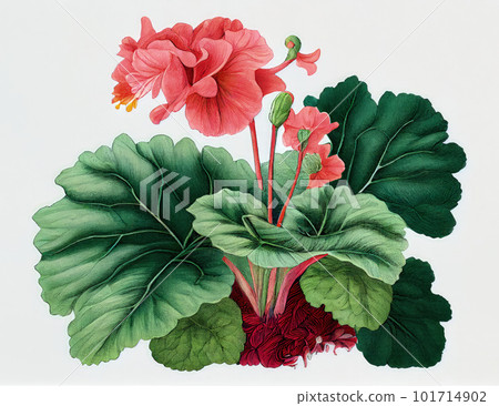 Begonia Flower Botanical Illustration, Pot Flowers Realistic Painting, Abstract Generative AI Illustration 101714902