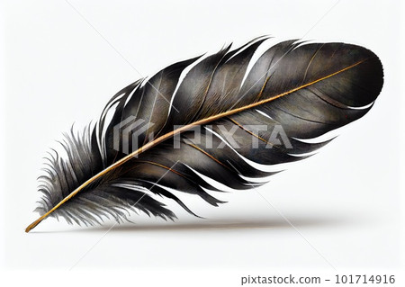 Black Feather Isolated, Swan Plume, Dark Gray Bird Feathers, Abstract Generative AI Illustration Black Feather Isolated, Swan Plume, Dark Gray Bird Feathers, Abstract Generative AI Illustration 101714916