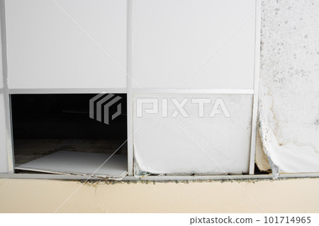 gypsum moldy ceiling water leak decay hole gypsum moldy ceiling water leak decay hole 101714965