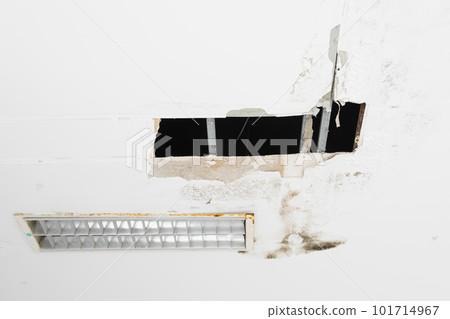 gypsum moldy ceiling water leak decay hole  101714967
