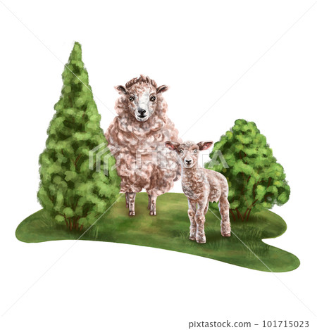 A composition of brown sheep and lamb on a sunny pasture among green shrubs and thuja. For postcards, textiles, booklets, banners, stickers. Digital illustration. A composition of brown sheep and lamb on a sunny pasture among green shrubs and thuja. For postcards, textiles, booklets, banners, stickers. Digital illustration. 101715023