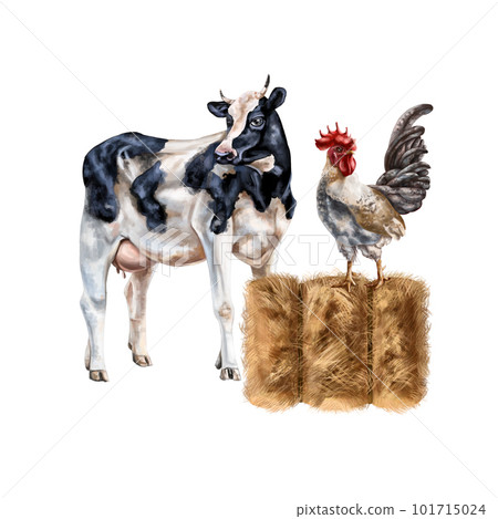 A composition of a black and white cow and a gray rooster on a golden haystack. For postcards, textiles, booklets, banners, stickers. Digital illustration. A composition of a black and white cow and a gray rooster on a golden haystack. For postcards, textiles, booklets, banners, stickers. Digital illustration. 101715024