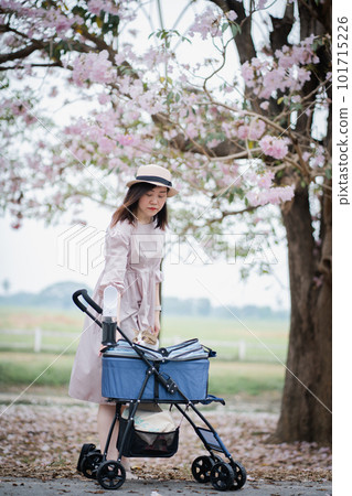 the springtime brings asian woman and her cat on a journey the springtime brings asian woman and her cat on a journey 101715226