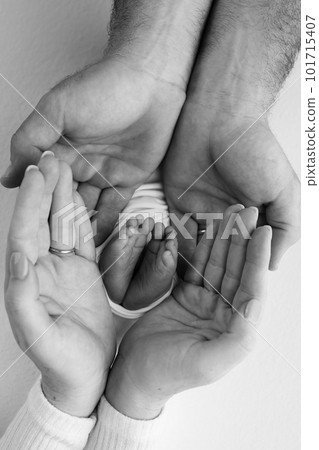 Children's leg in the hands of mother, father, parents. Feet of a tiny newborn close up. Little baby foot. Mom and her child. Happy family concept. Black and white photo of motherhood. Children's leg in the hands of mother, father, parents. Feet of a tiny newborn close up. Little baby foot. Mom and her child. Happy family concept. Black and white photo of motherhood. 101715407